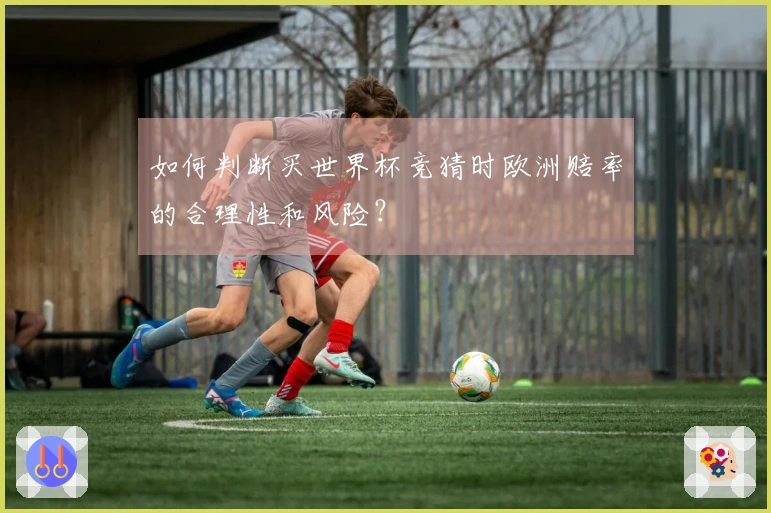 如何判断买世界杯竞猜时欧洲赔率的合理性和风险？