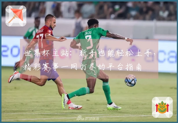 世界杯主站：新手也能轻松上手，精彩赛事一网打尽的平台指南