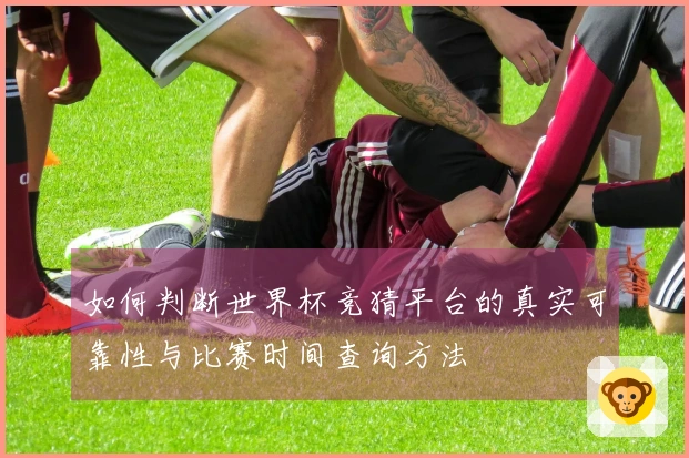如何判断世界杯竞猜平台的真实可靠性与比赛时间查询方法