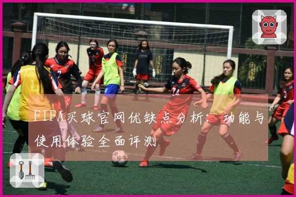 FIFA买球官网优缺点分析：功能与使用体验全面评测