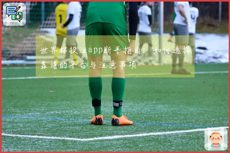 世界杯投注app新手指南：如何选择靠谱的平台与注意事项