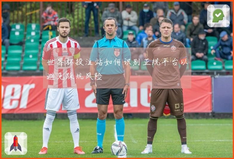 世界杯投注站如何识别正规平台以避免踩坑风险