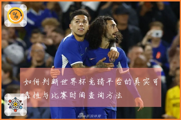 如何判断世界杯竞猜平台的真实可靠性与比赛时间查询方法