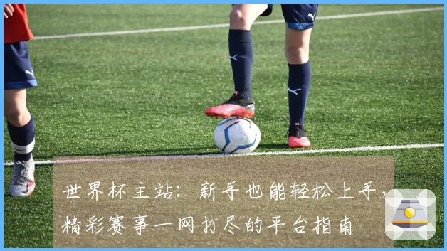 世界杯主站：新手也能轻松上手，精彩赛事一网打尽的平台指南